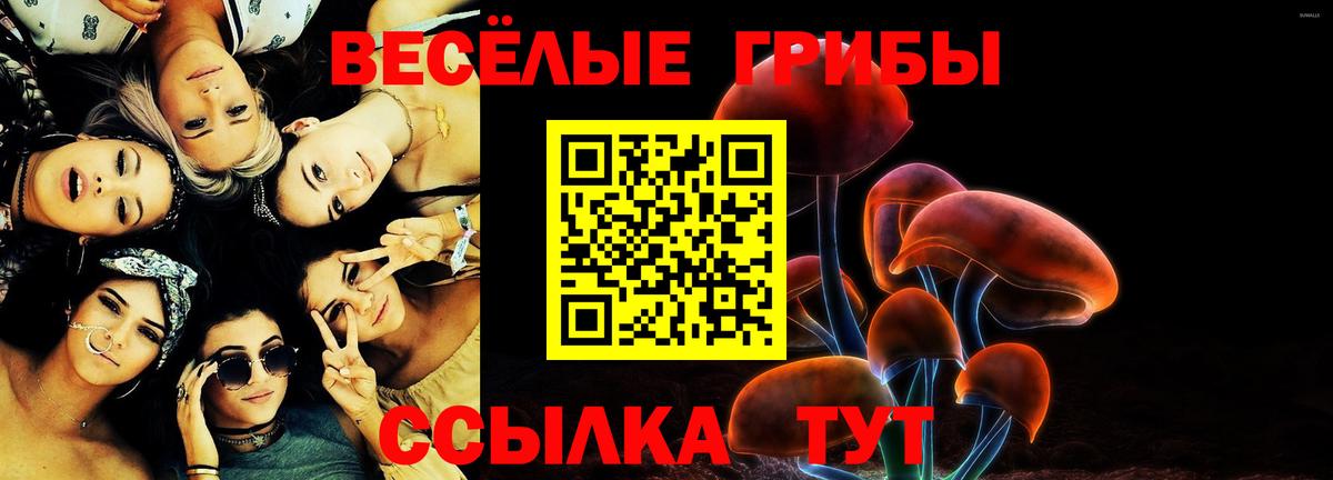 Псилоцибиновые грибы мицелий  Вход с VPN  Ейск 